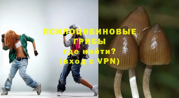 гашик Балахна