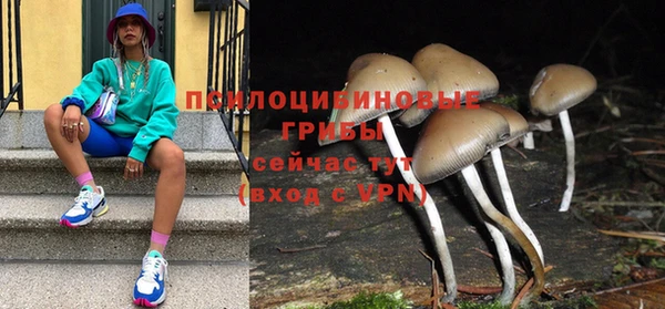 гашик Балахна