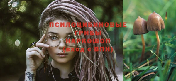 гашик Балахна