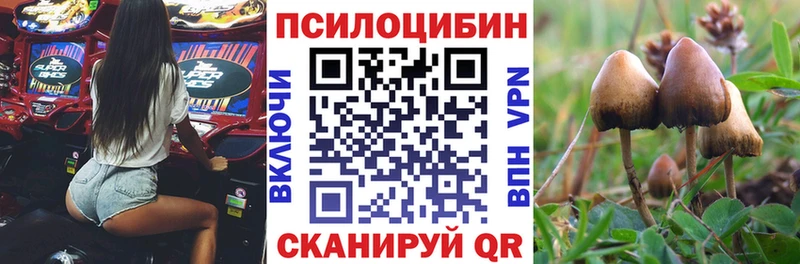 хочу наркоту Вольск Галлюциногенные грибы ЛСД